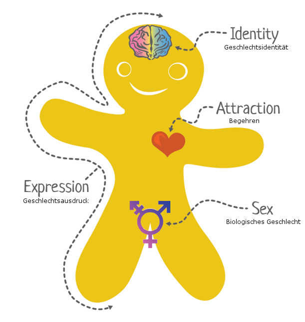 Die "Genderbread Person" bildet die vier Aspekte von Geschlecht ab.